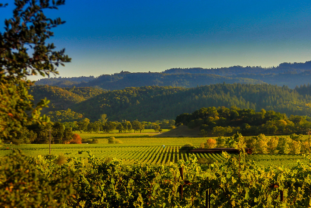 Image of Napa