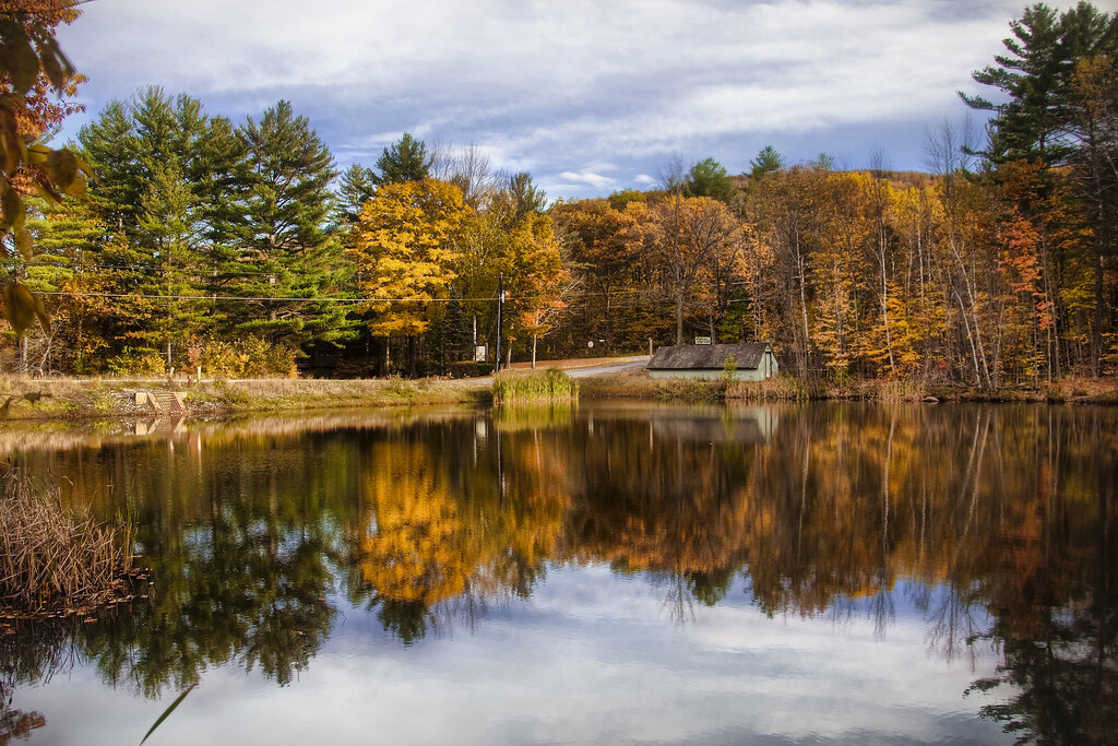 Image of New England