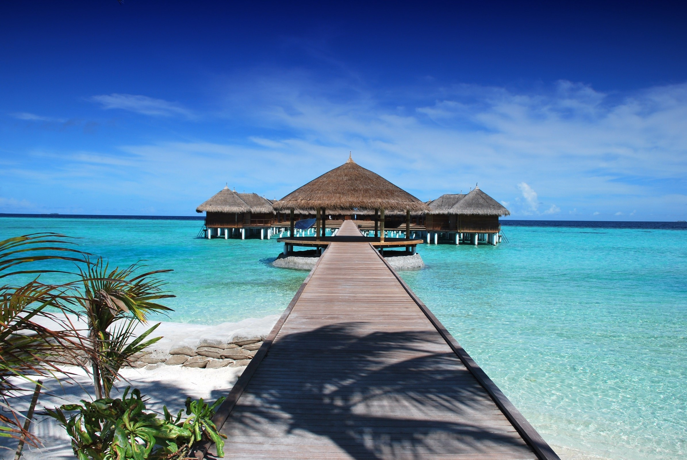 Image of a bungallow